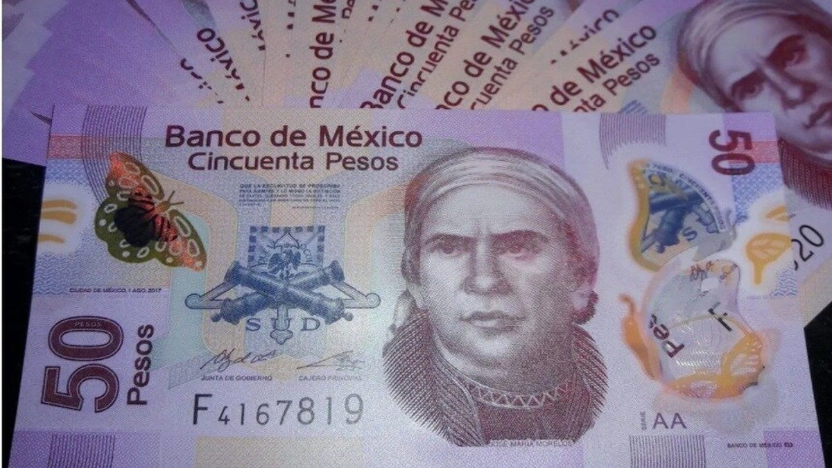 Banxico dice adiós a Morelos de los billetes de 50 pesos; ajolote será el nuevo protagonista