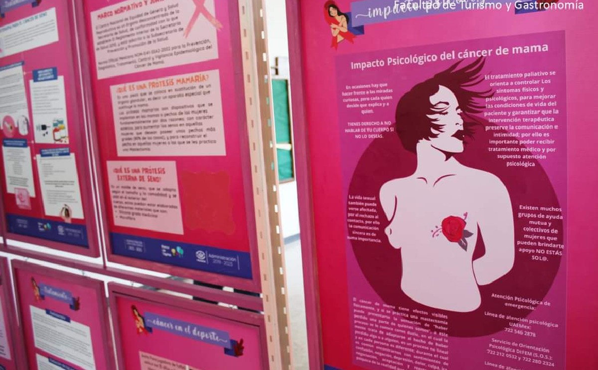 Son 20 carteles con información no solamente enfocada a mujeres, sino también a varones.
