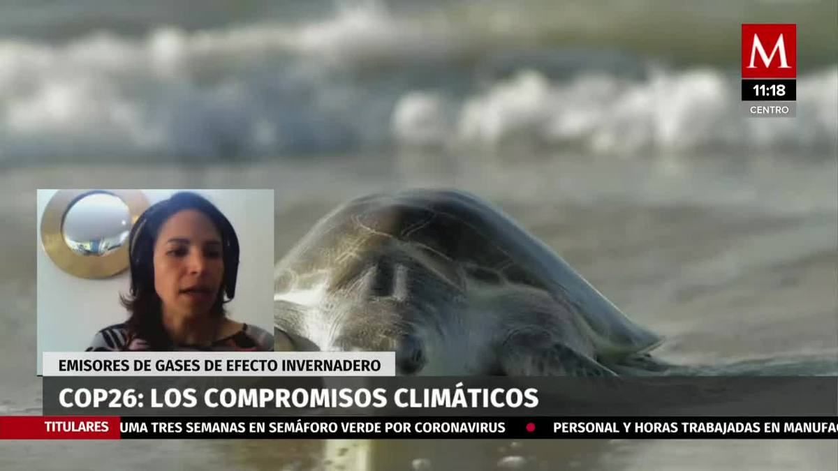 COP 26: los compromisos climáticos contra los emisores de efecto invernadero