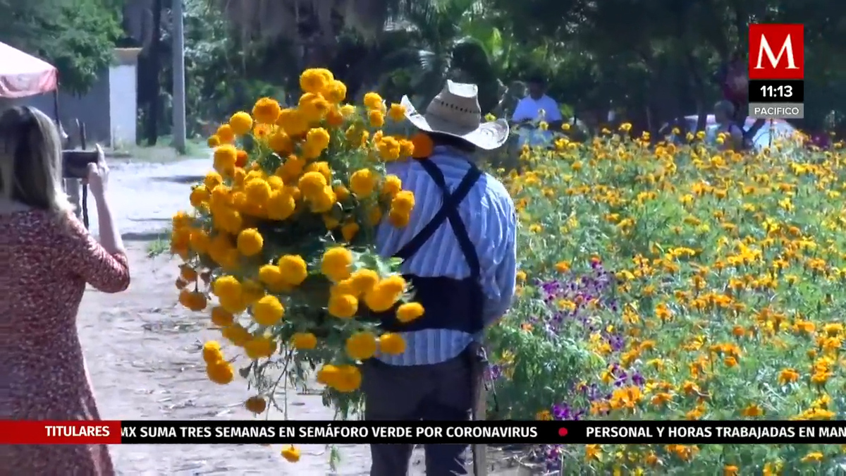 Visitantes acuden al sembradío de Ciudad Victoria