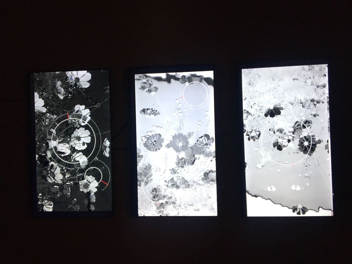 Evidencias, una recopilación de arte basada en datos | Yair Hernández