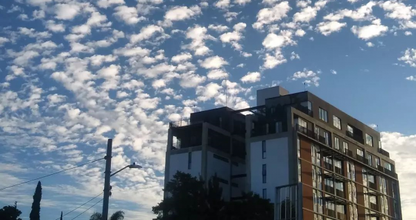 Sheeps in the sky