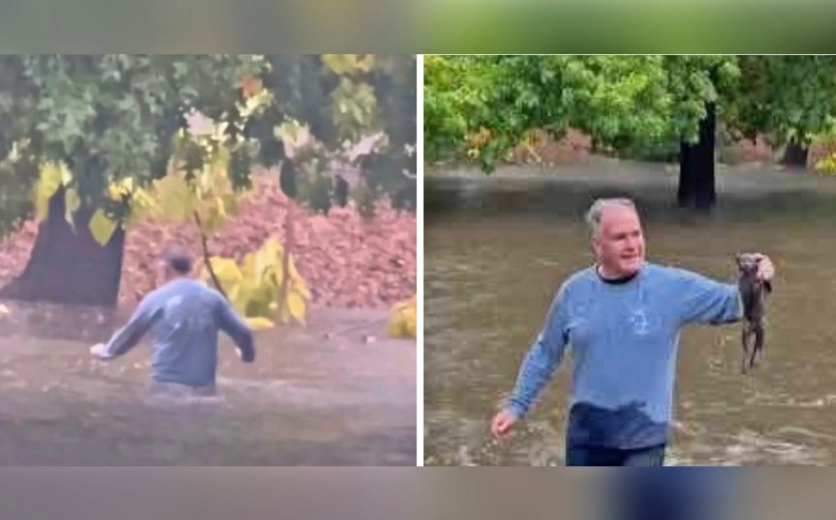 El gatito estuvo a punto de morir ahogado tras la fuerte inundación en California. (Captura de video)