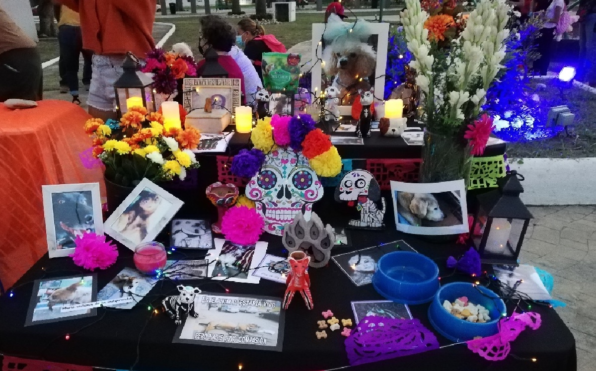 Altar de Día de Muertos para mascotas en Ciudad Madero. (Jaime Maya)