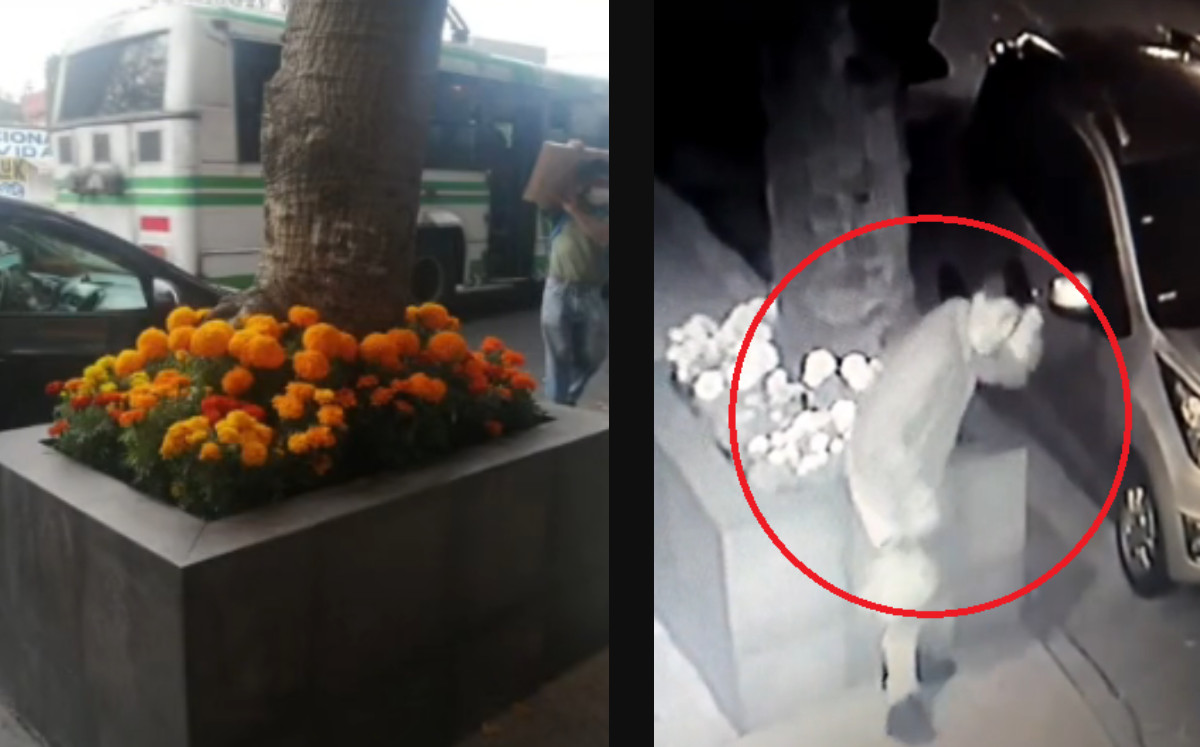 Captan en video de robo en CdMx; puso cempasúchil en su jardinera y se las llevaron. (Especial)