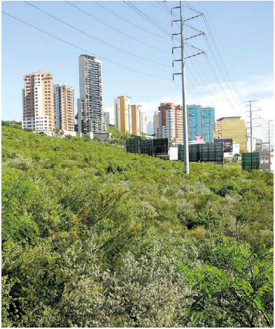 El proyecto fue aprobado por el municipio. Raúl Palacios