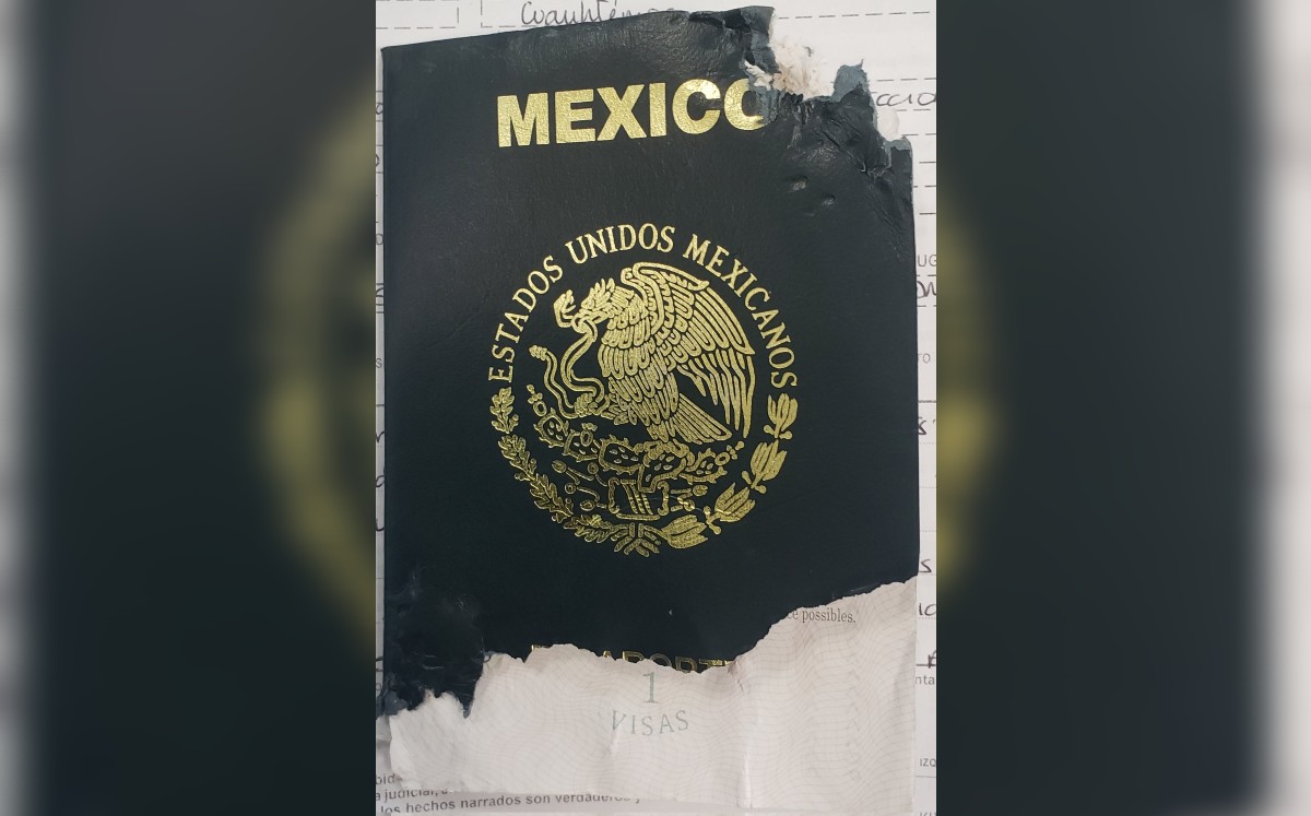 Perro 'se come' pasaporte de hombre y SRE le pide narrar los hechos. | Twitter