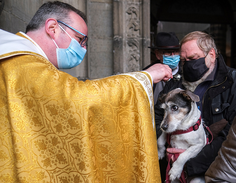 En la Basílica de St Hubert, en Bélgica, se celebra una misa tras la cual se bendicen los animales.| EFE