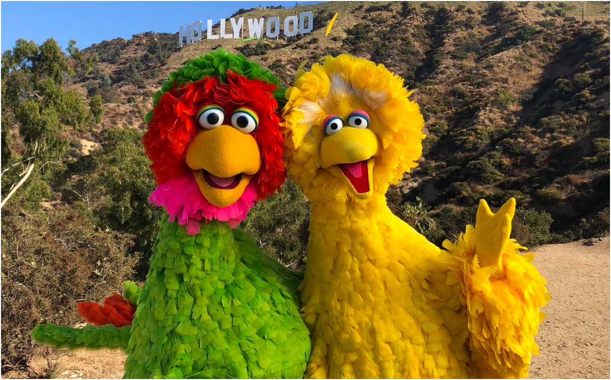 Big Bird se vacunó contra el COVID19