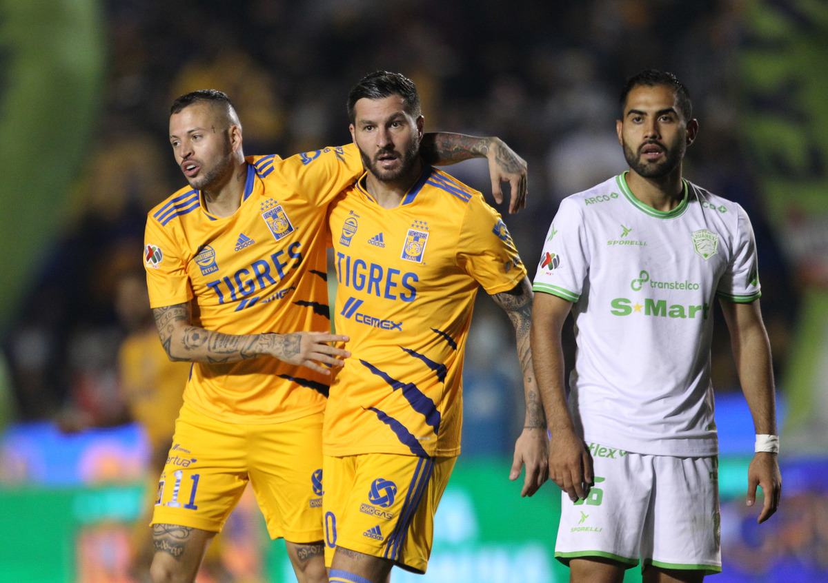 Tigres (Imago7)