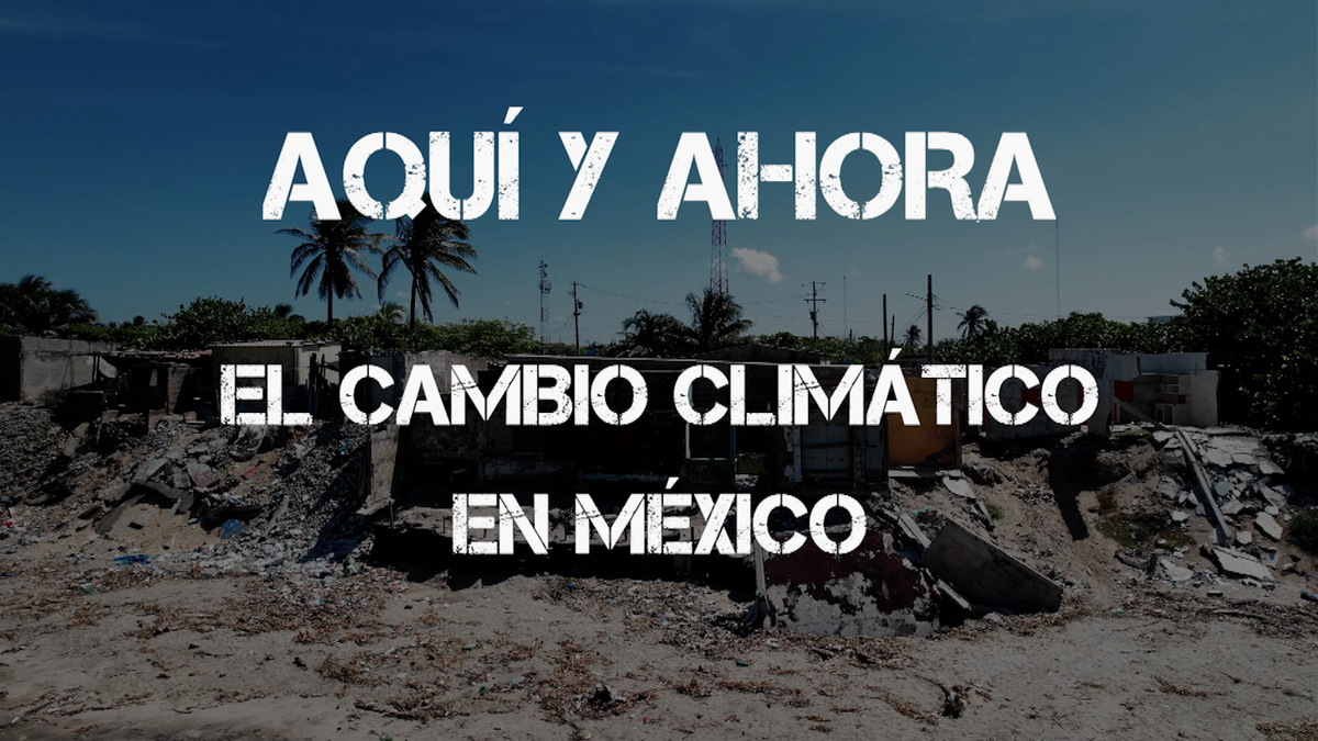 Aquí y ahora. El cambio climático en México | Especiales Milenio