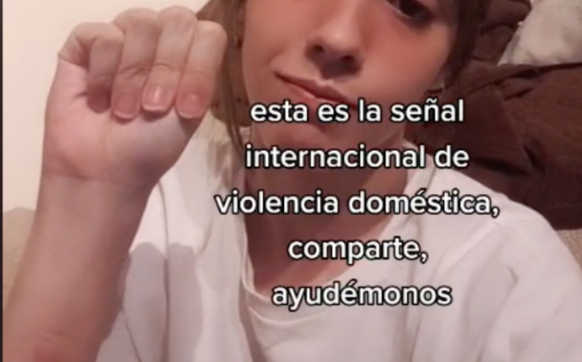 Señal de violencia doméstica viralizada en TikTok. (Captura Elena_fdezv)