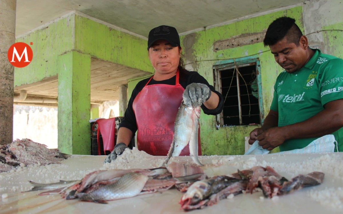 Pez salado expande su mercado de Veracruz a Chiapas y Oaxaca. (Sergio Sánchez)