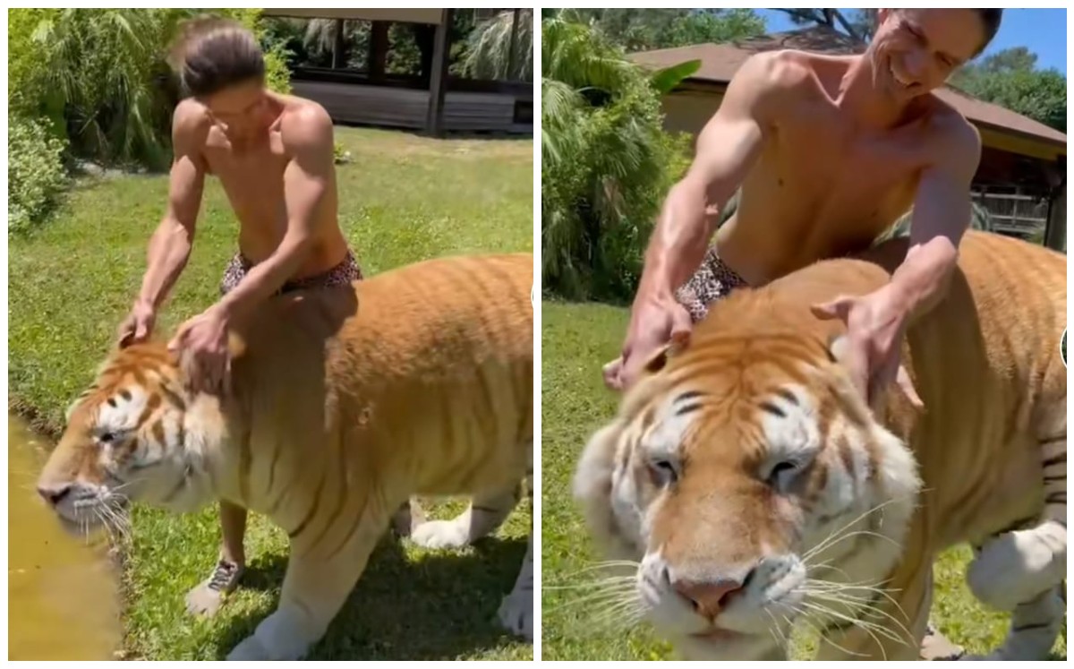 Joven comparte amistad con tigre (Captura)