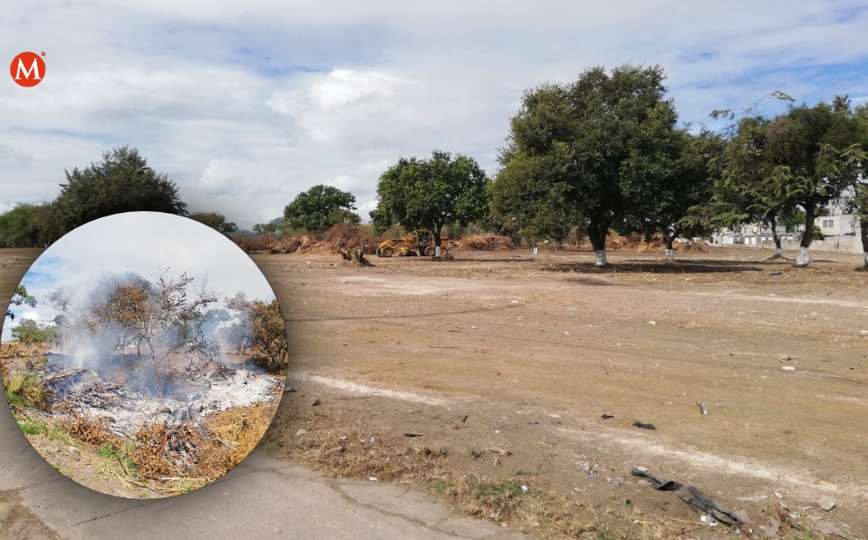 Vecinos denuncian ecocidio en Altamira (Pablo Reyes)