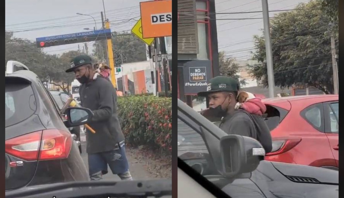 Joven carga a perrito en la espalda mientras limpia parabrisas (Captura).