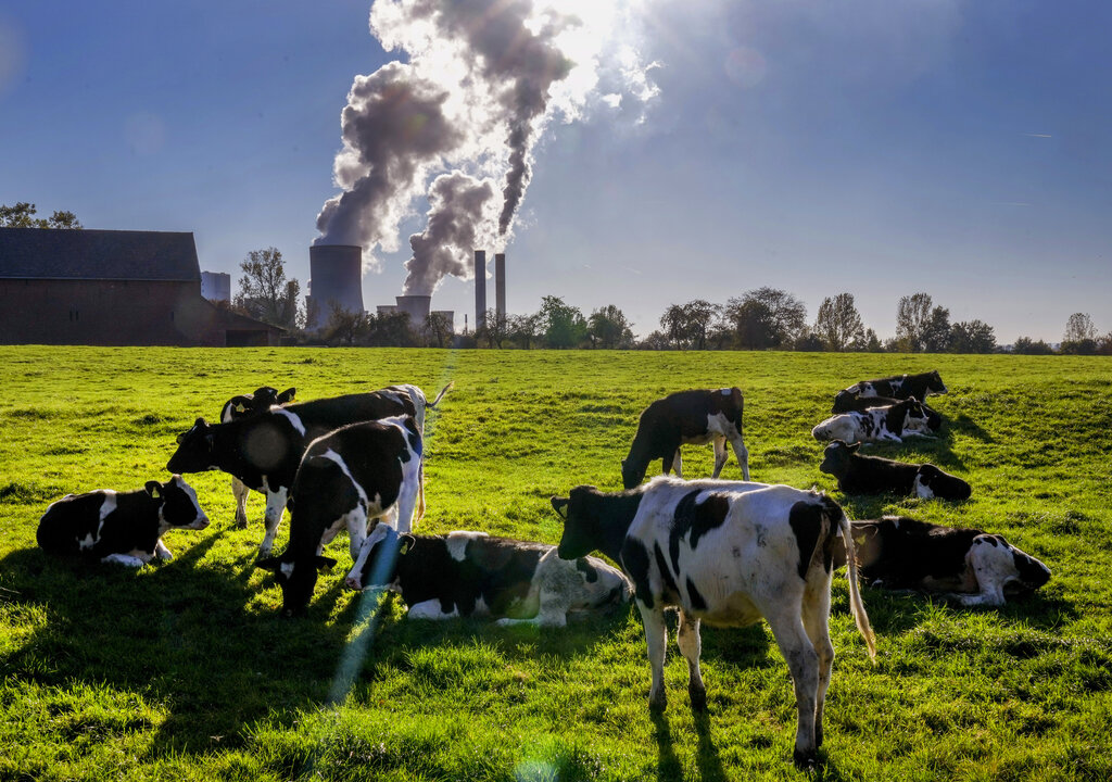 La contaminación, pese a que se ha disminuido en Europa, sigue generando muertes prematuras. (AP)