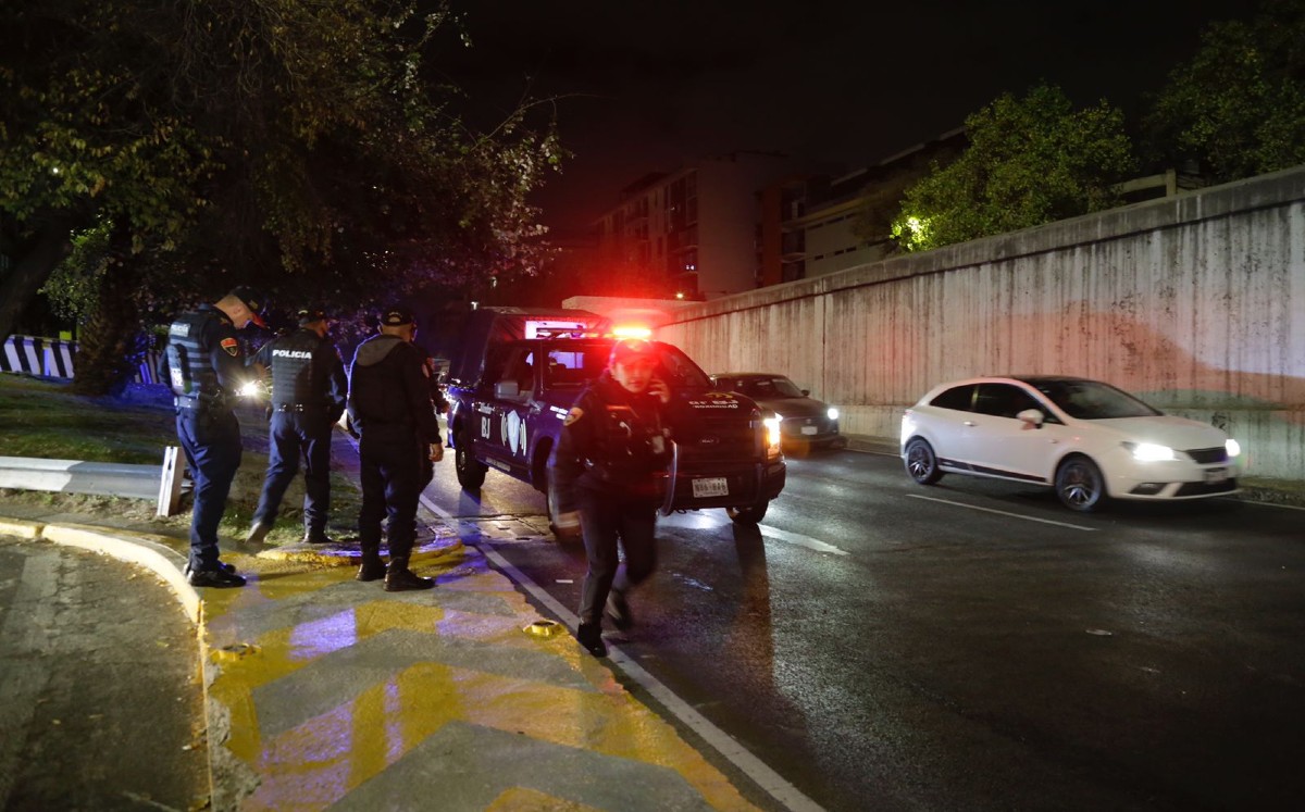 Lograron capturar a tres de los delincuentes