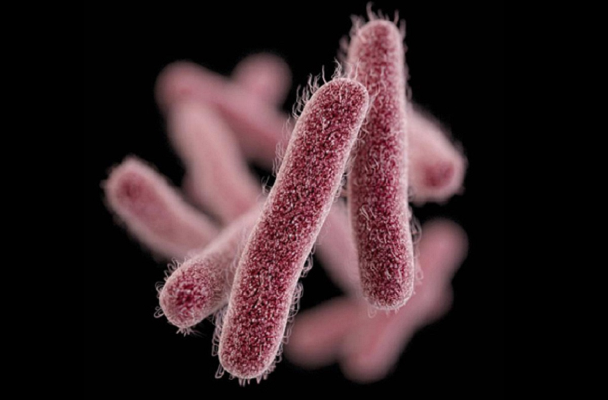 El principal signo de infección por shigella es la diarrea, que suele tener sangre. (Condado de San Diego)
