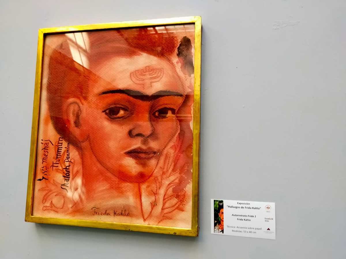 La exposición está montada en el vestíbulo de la biblioteca de la Universidad Anáhuac. (Foto: Especial)