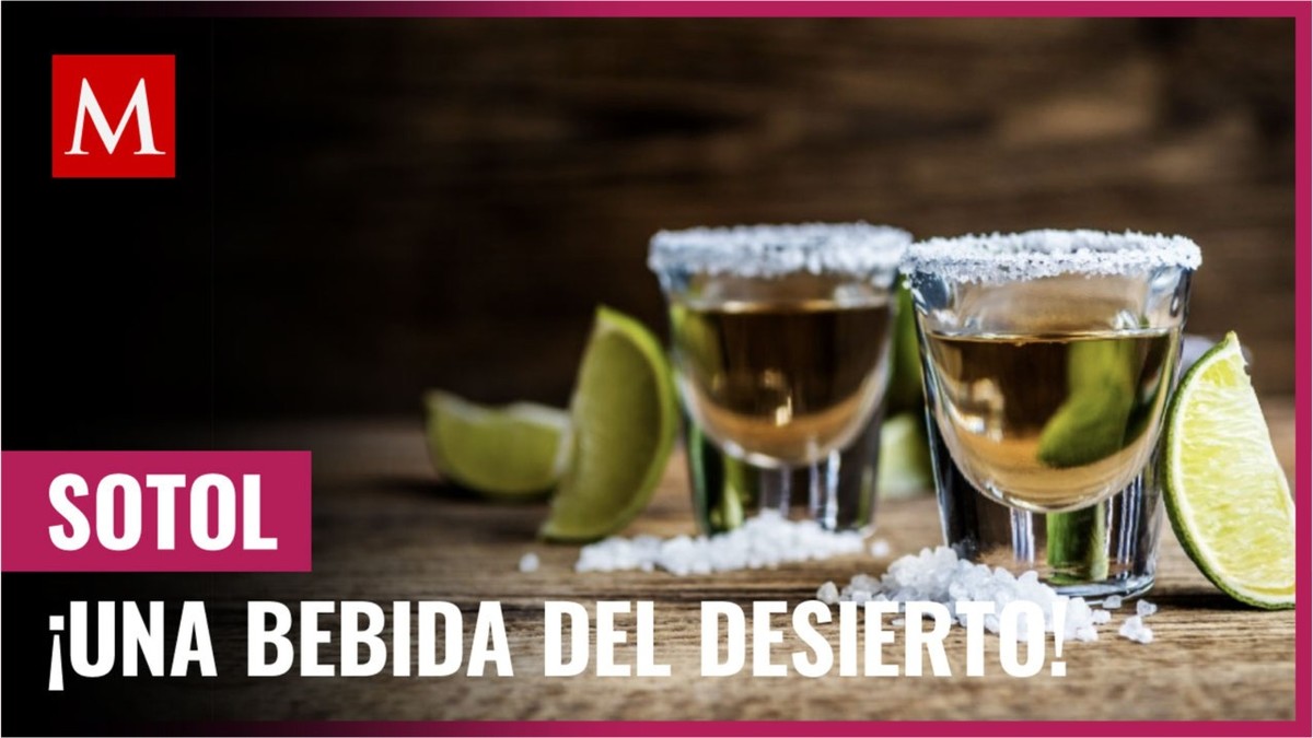 Sotol. Qué es, de qué está hecho y cómo se prepara