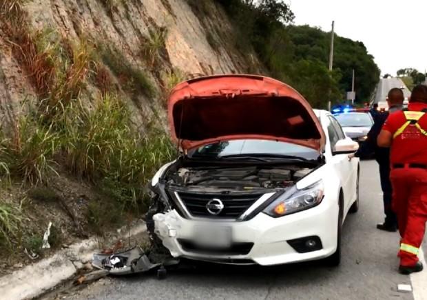 El cadáver del animal quedó a cargo de la Profepa. Foto: Especial