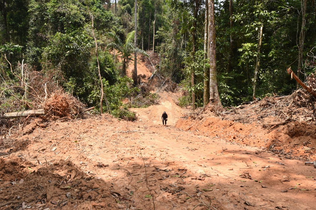 La deforestación en el Amazonaa se ha incrementado durante la administración de Jair Bolsonaro. (AFP)