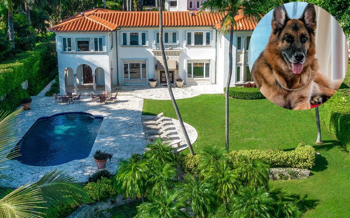 Madonna vivió en la casa que ahora pone a la venta el perro más rico del mundo (Especial).