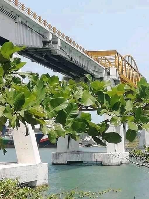 Puente sobre la desembocadura de los ríos Papaloapan y Blanco