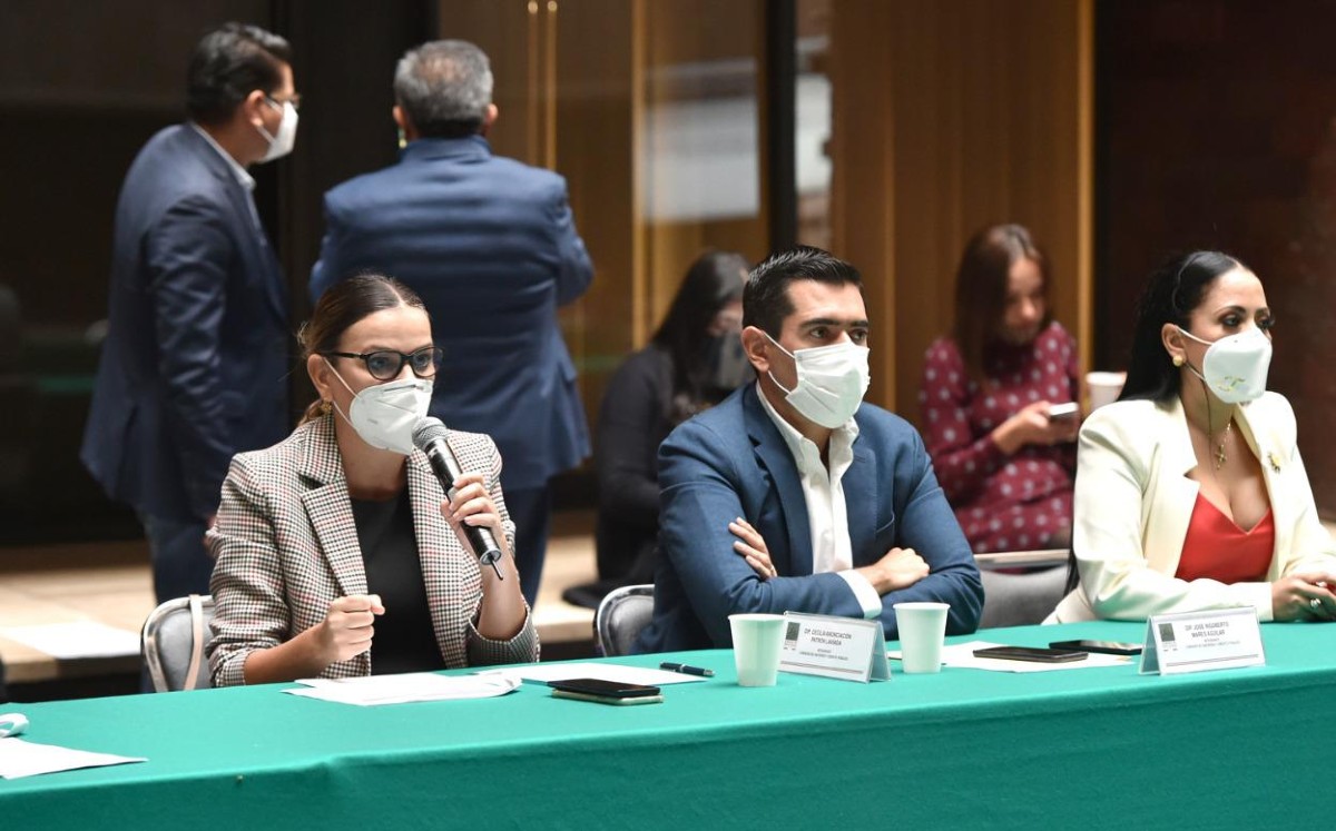 El mayor reto en discusión de la reforma es definir el modelo de energía eléctrica que habrá de seguir México, indicó. | Especial