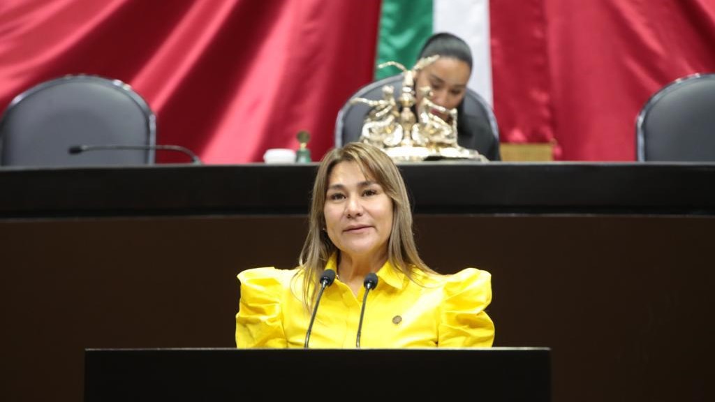 De acuerdo con la priista Sayonara Vargas,  la propuesta apunta a que la paridad de género sea una herramienta eficaz. (Especial)