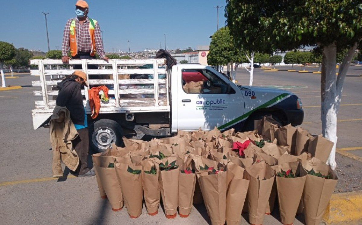Cambia tu basura reciclable por Nochebuenas