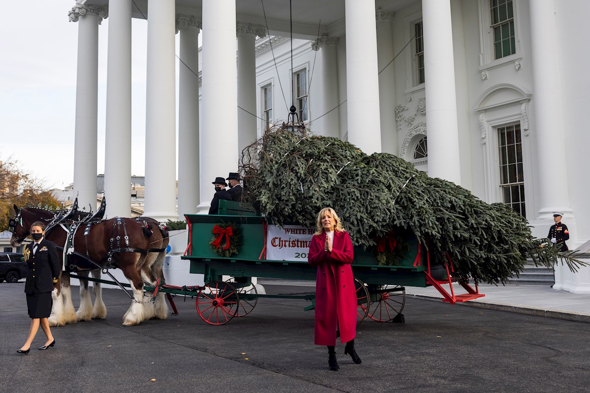 Jill Biden recibió el árbol de Navidad en la Casa Blanca. | EFE