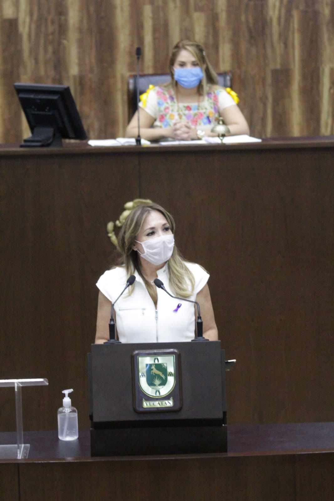 Diputada Karla Franco Blanco