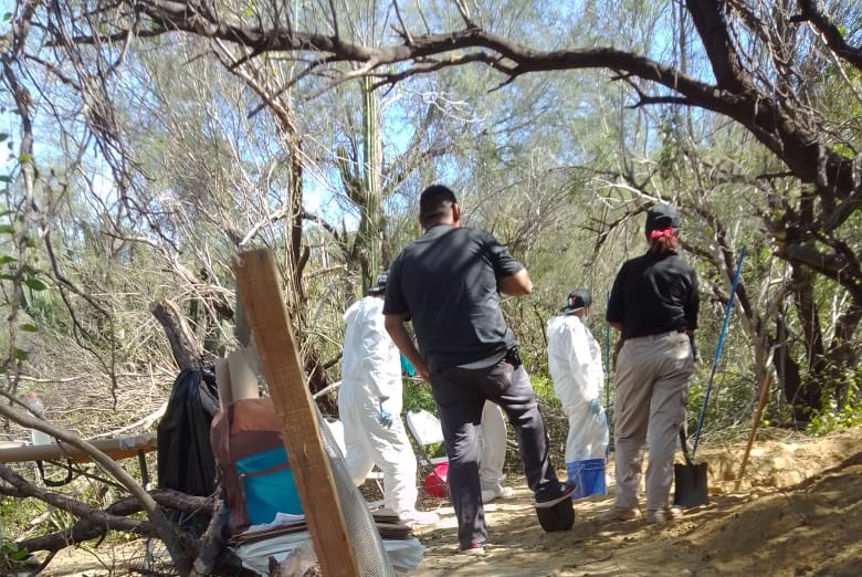 Hallazgo de fosa clandestina en San José del Cabo, Baja California Sur. (Especial)