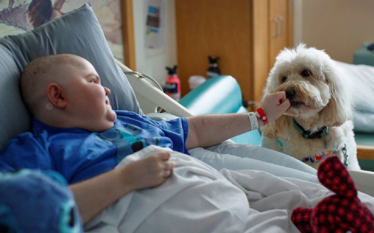 Ollie saluda a un niño en el Rady Children's Hospital de San Diego. | Reuters