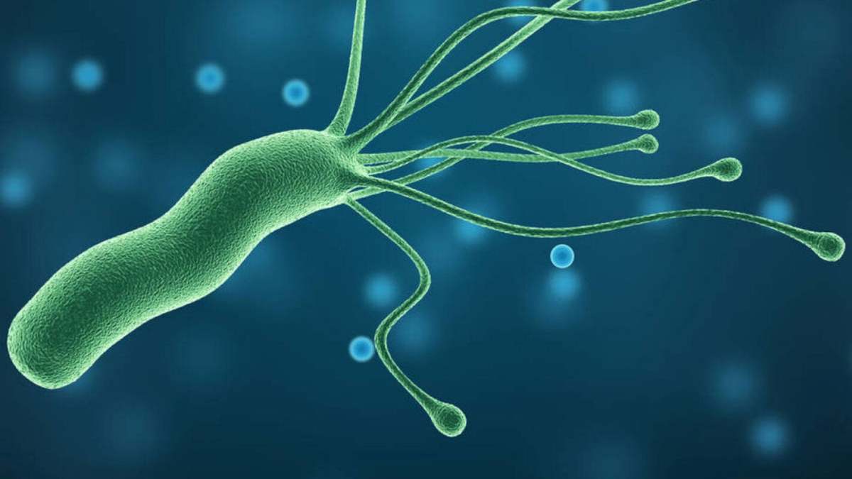 La infección se adquiere con mayor frecuencia durante la infancia (OPS/OMS)