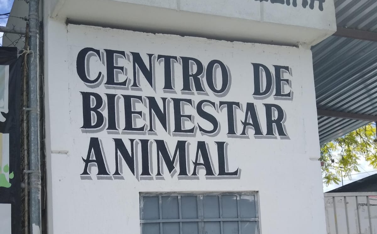 Centro de Bienestar Animal | Especial