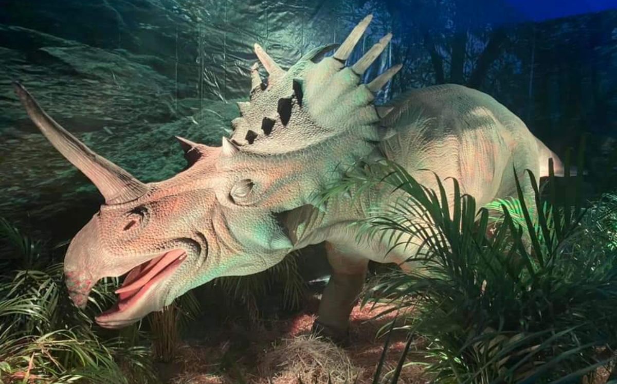 El productor presenta Tierra de Dinosaurios