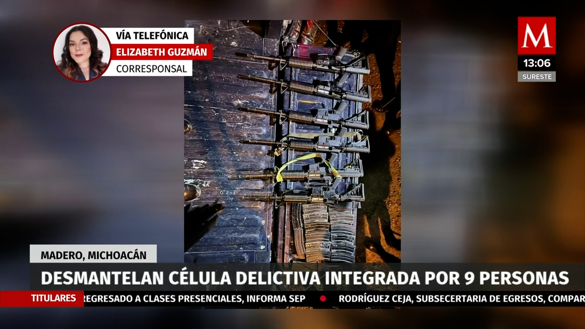 Fuerzas de seguridad desmantelan célula delictiva en Michoacán