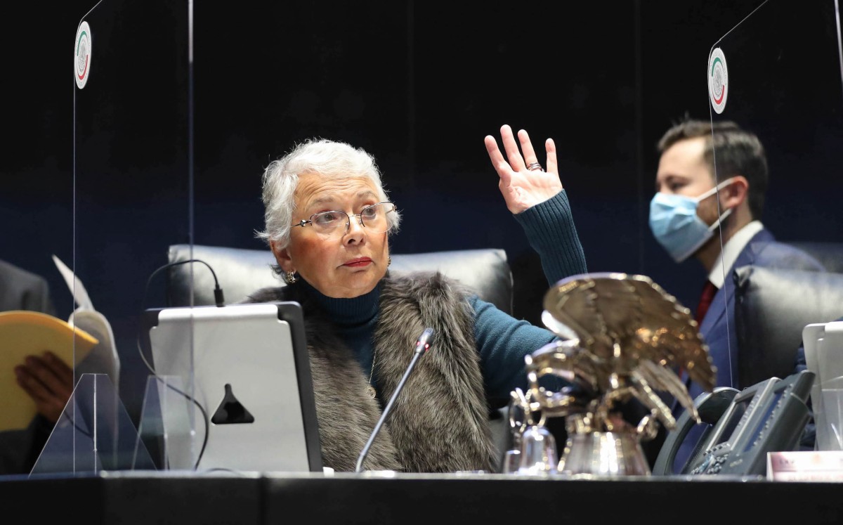 La senadora dará una respuesta a la oposición cuanto le entreguen el fundamento. | Especial
