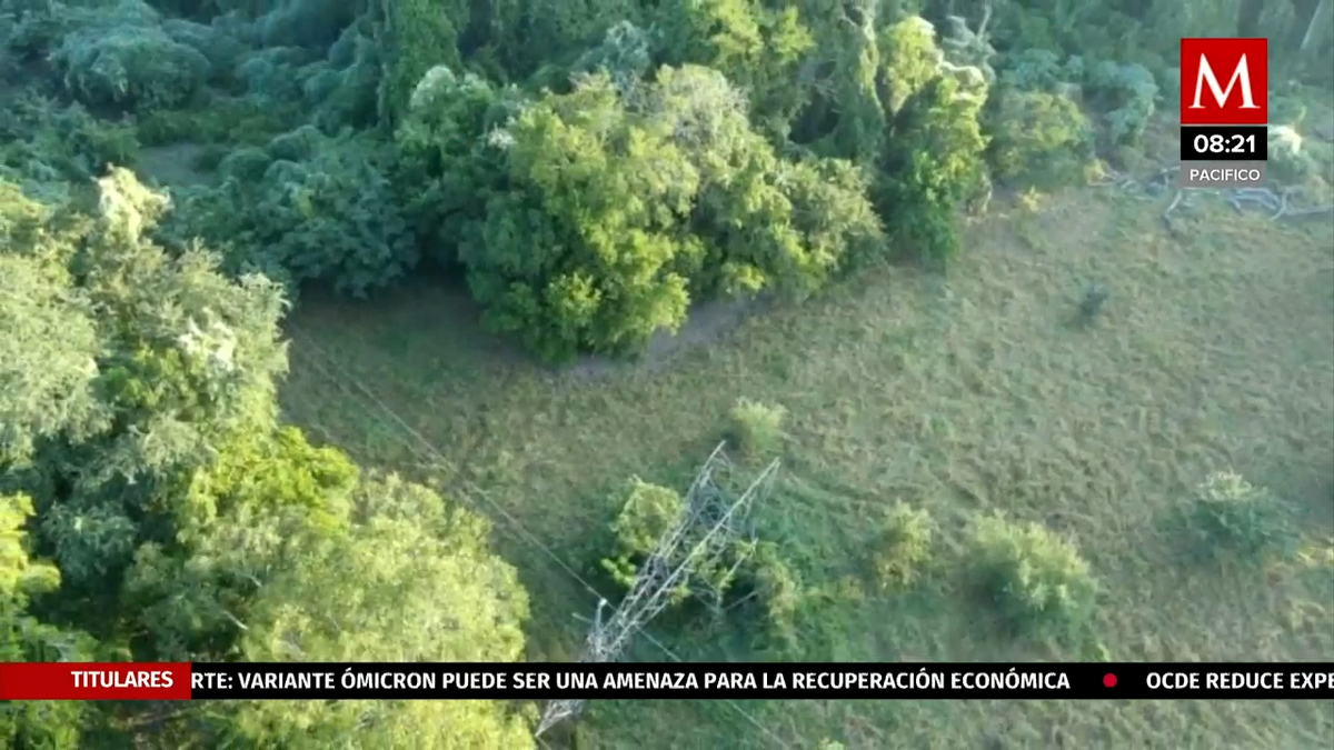 Colapsa torre de CFE y deja sin servicio a cientos de habitantes