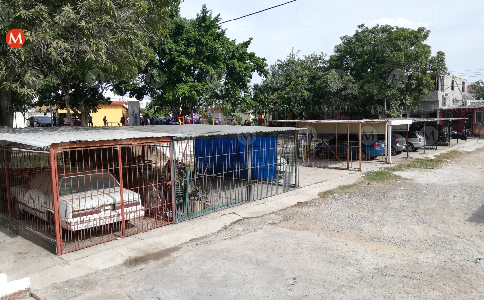 Invaden áreas verdes en ciudad Madero (Pablo Reyes)