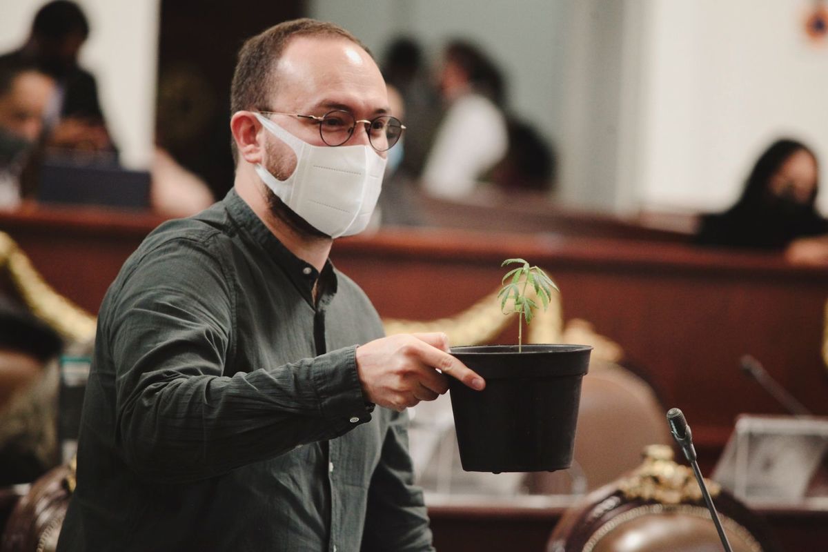 El diputado señaló los beneficios medicinales de la planta | Especial