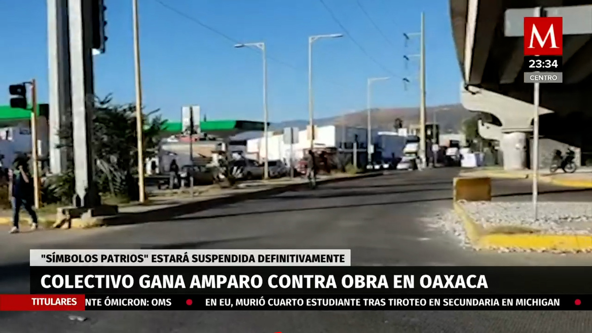 Oaxaca. Ganan juicio para detener obra donde talarían árboles