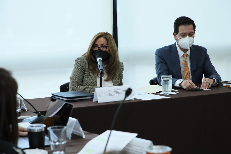 La titular de la Comisión Estatal de Derechos Humanos, Susana Méndez. Foto: Especial