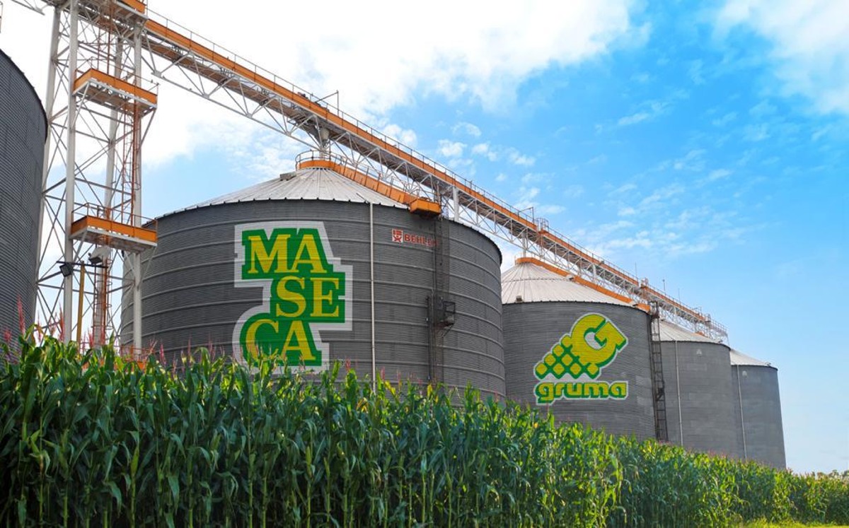 Grupo Maseca