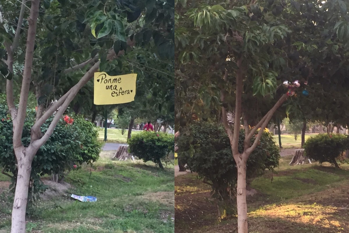 Hasta el momento en el árbol lucen unas pocas esferas. (Especial)