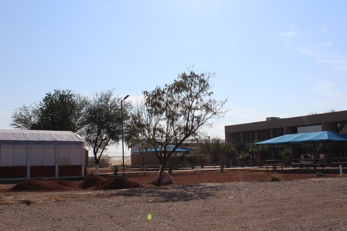 El Instituto Tecnológico de Torreón estará presentando los avances de tesis el 6 y 7 de diciembre de 2021. (Claudia Luévano)