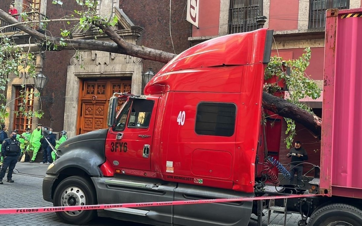 El árbol cayó sobre el tráiler en la calle Donceles, cerca del Congreso de CdMx. | Ramón Ramírez